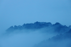 雲海