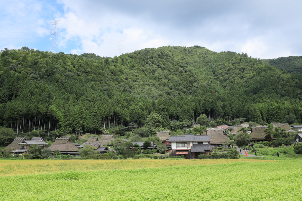 秋そばの候