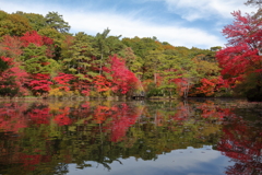 湖畔にて