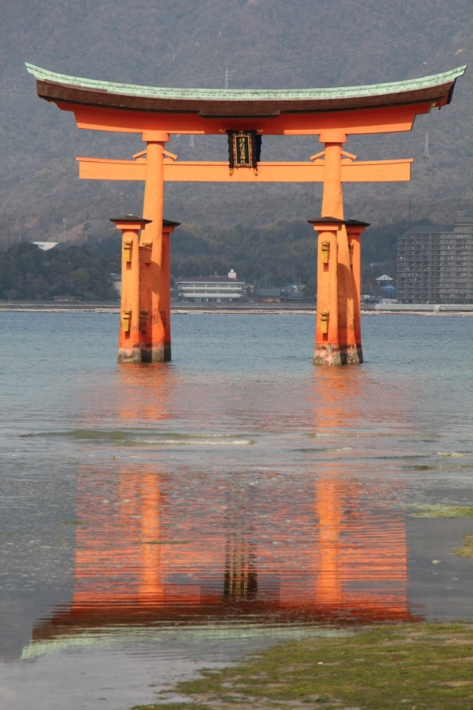 大鳥居