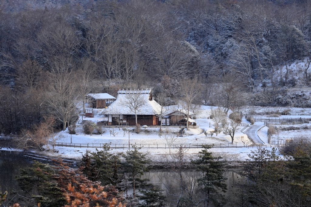 雪朝