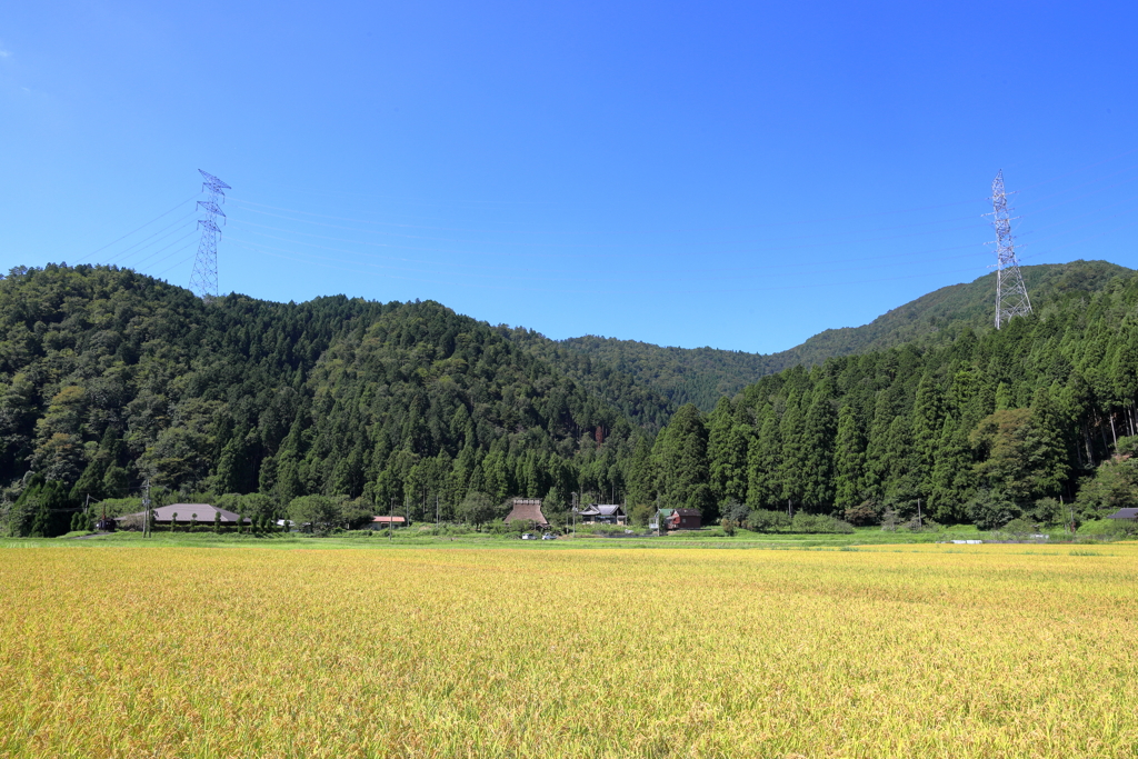 美山三景