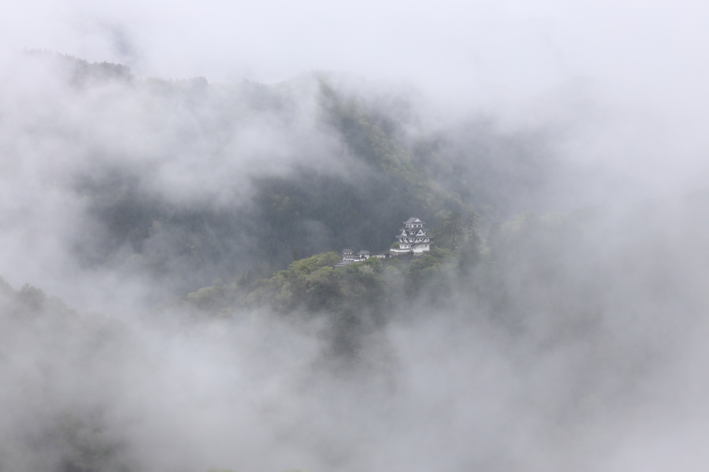 郡上八幡城