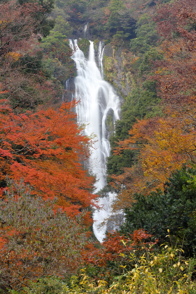 神庭の滝