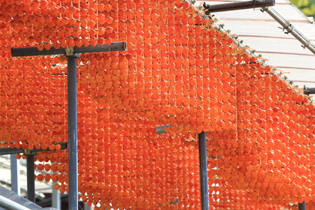 食べ物・飲み物写真集