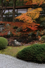 泉湧寺