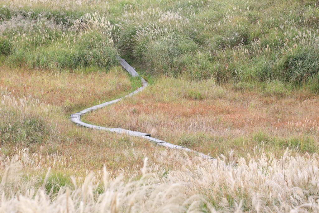 砥峰のころ