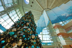 Haneda Christmas