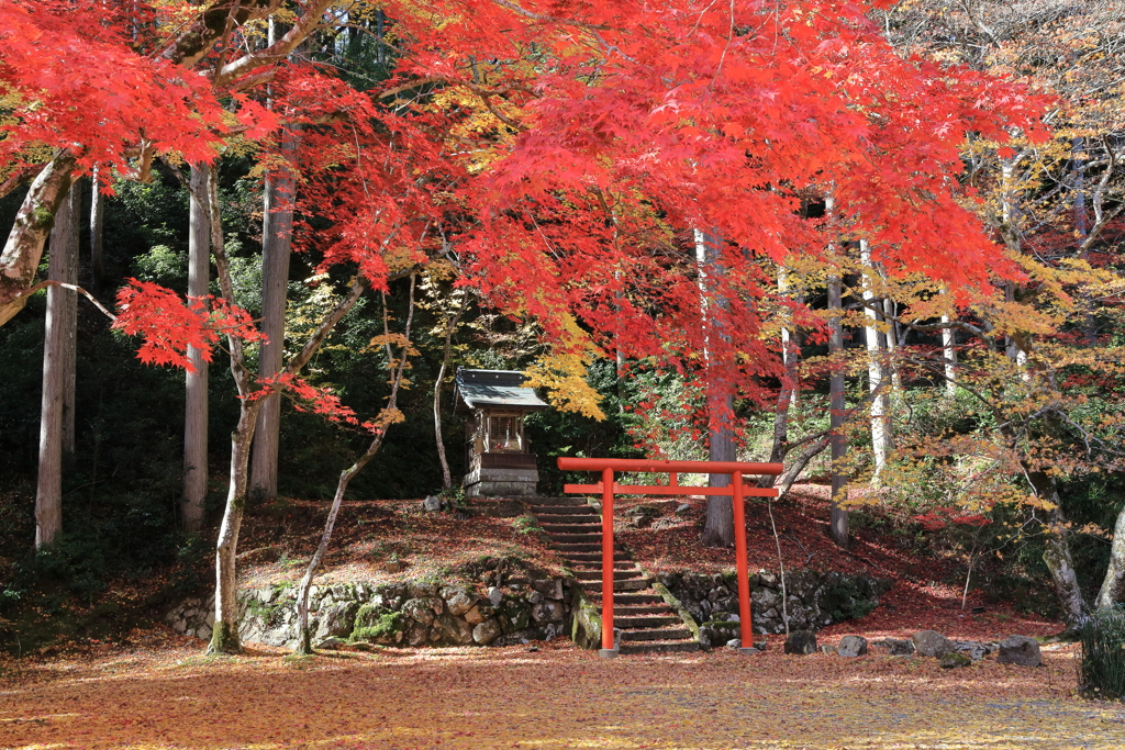 洞光寺