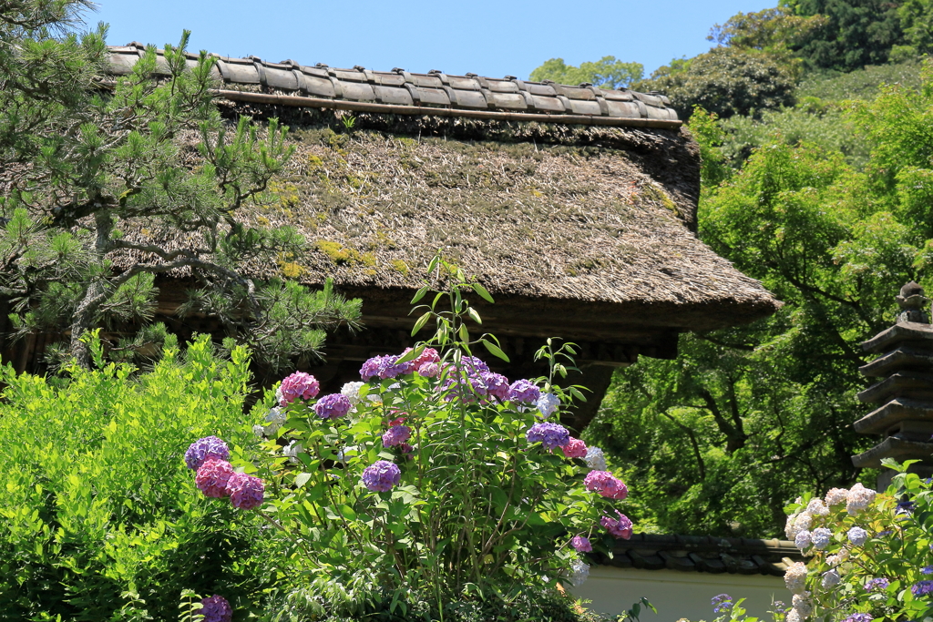 長寿寺・鎌倉
