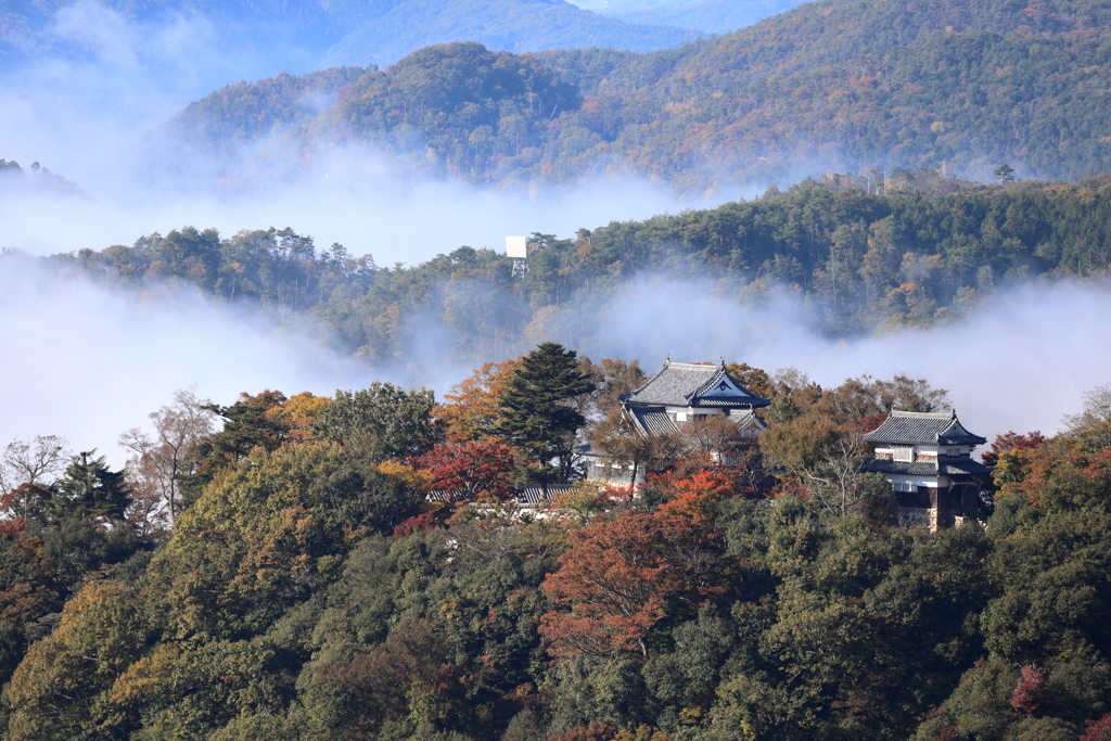 染まる古城