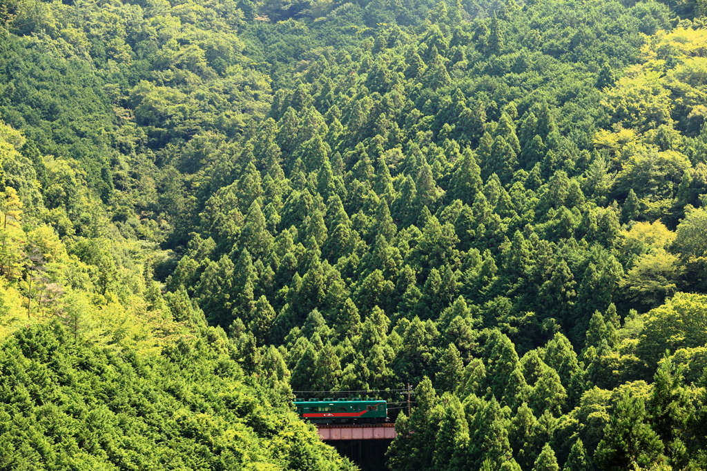 天空へ