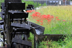 新野の水車