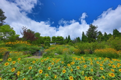 天空の植物園