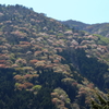 サクラヶ岳