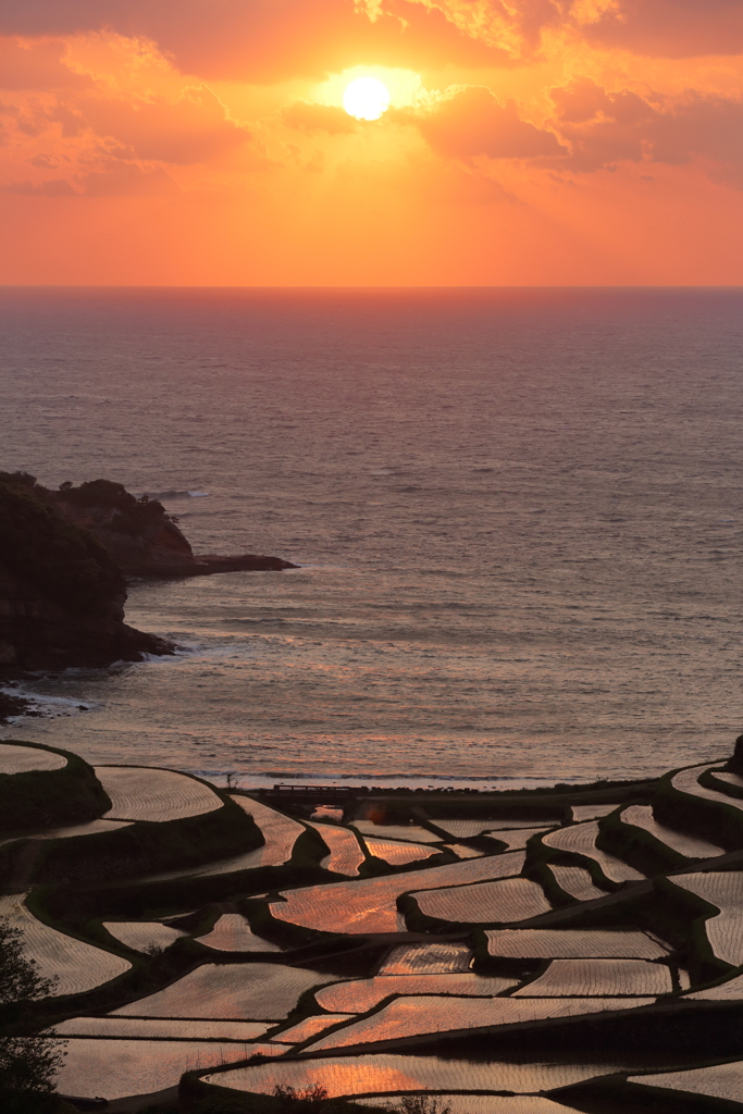 浜野浦にて