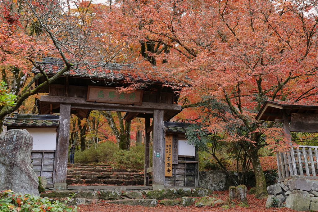 高源寺