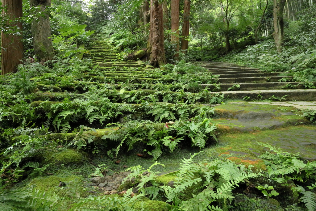 苔石坂