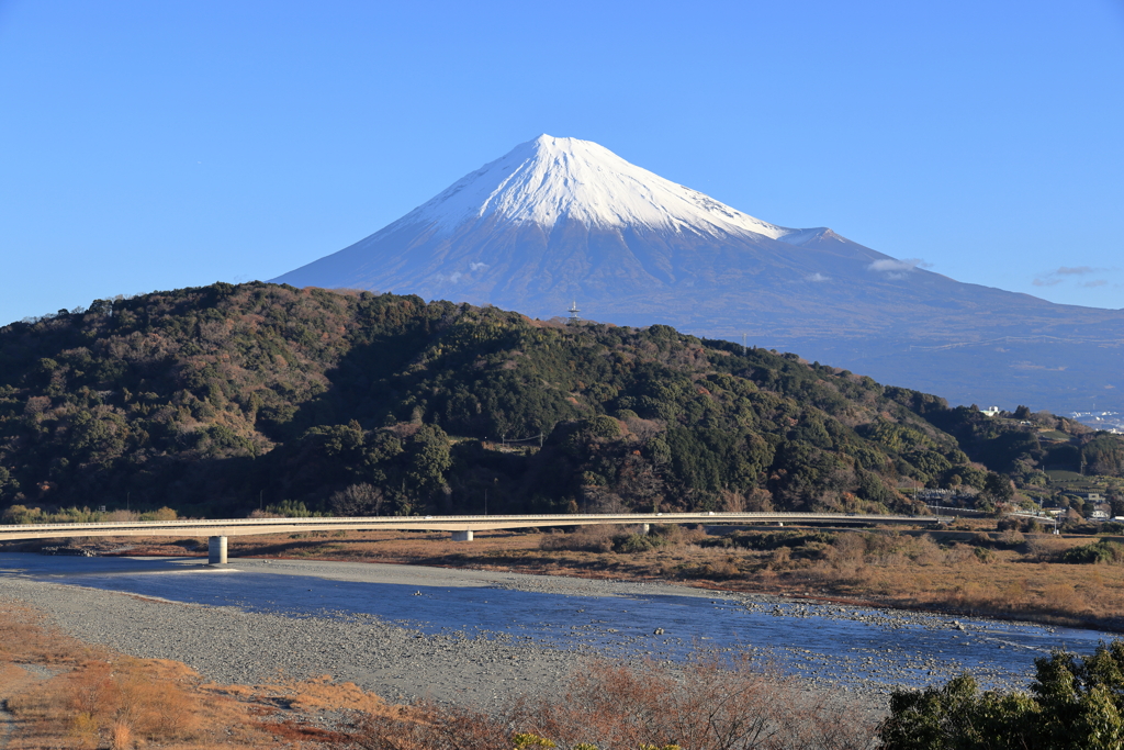 本年もよろしくお願いします