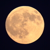満月
