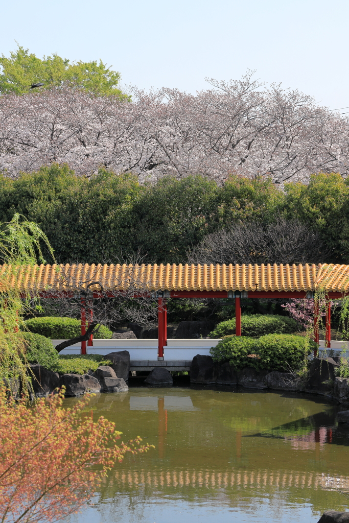 春の園