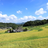 秋到来