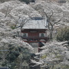 常勝寺