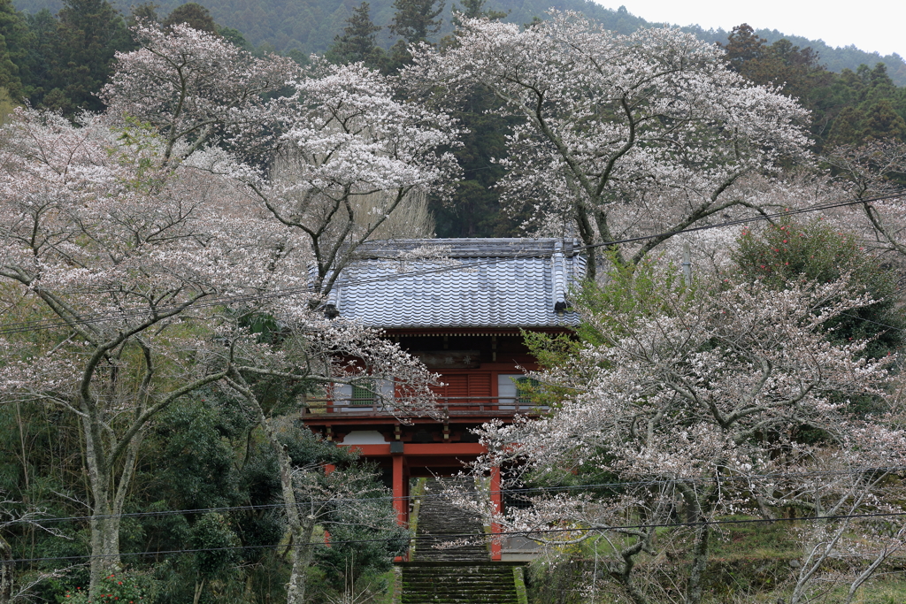 常勝寺