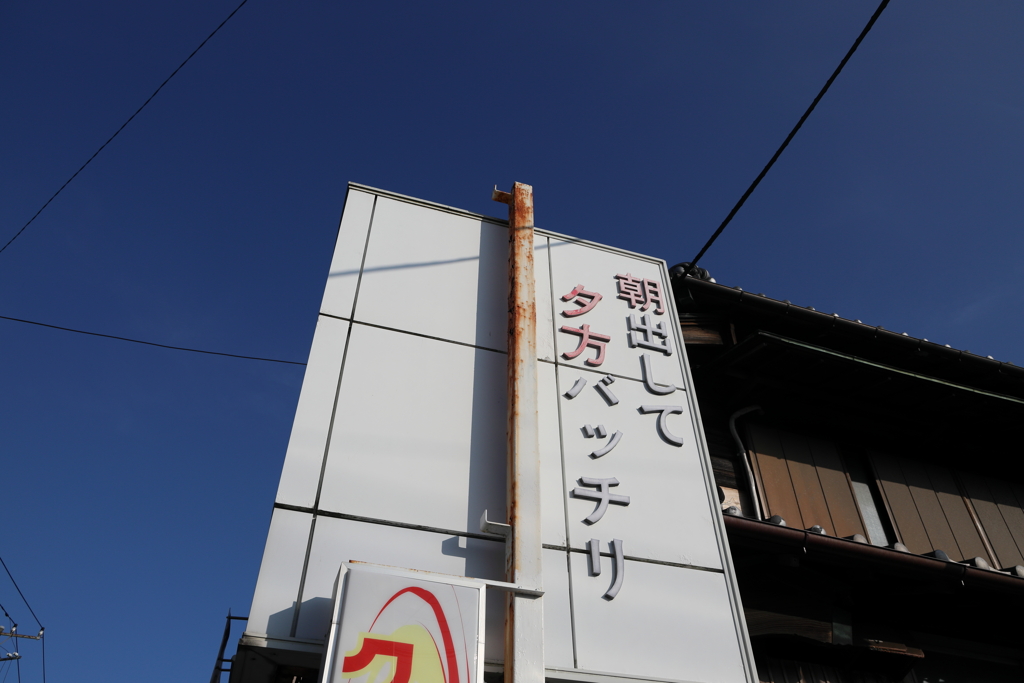 朝スナップ