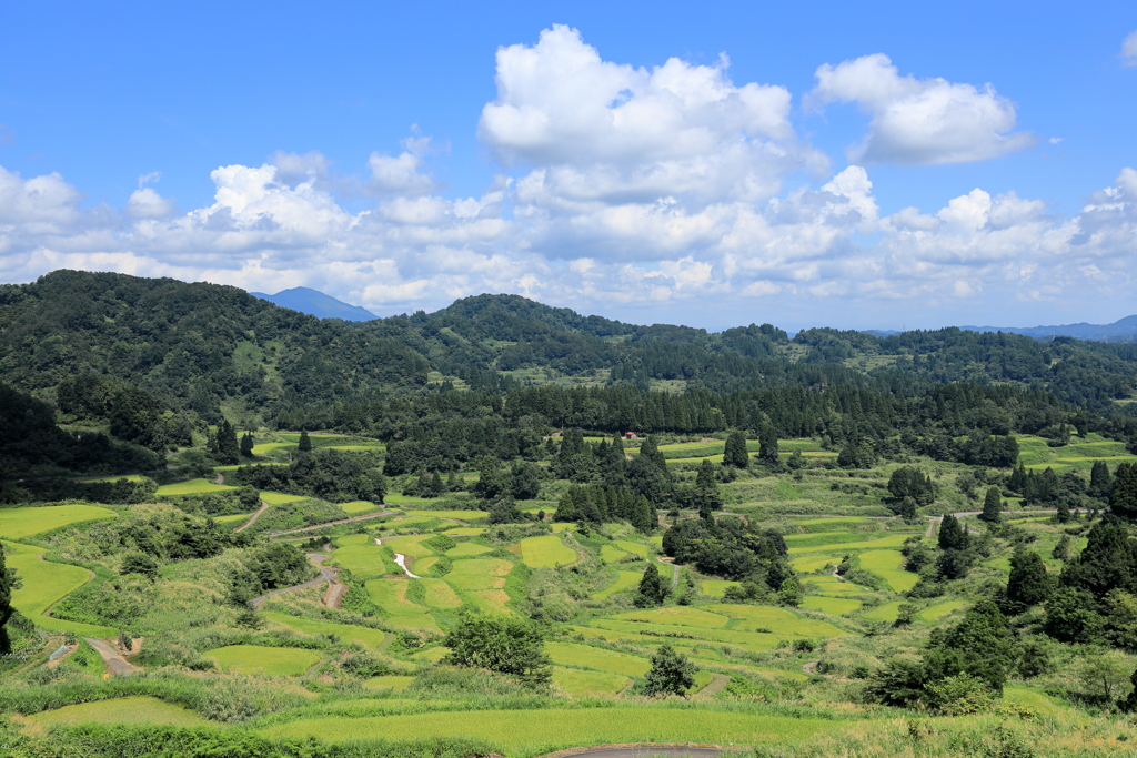 星峠の棚田