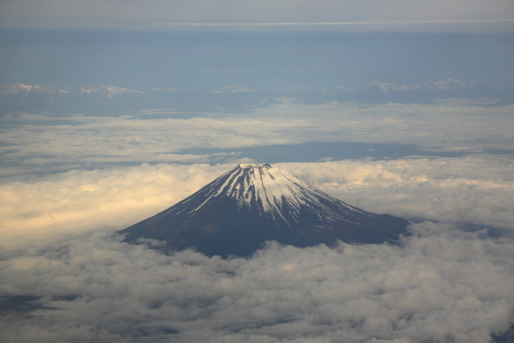 朝の楽しみ