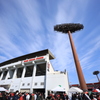 スポーツ日和