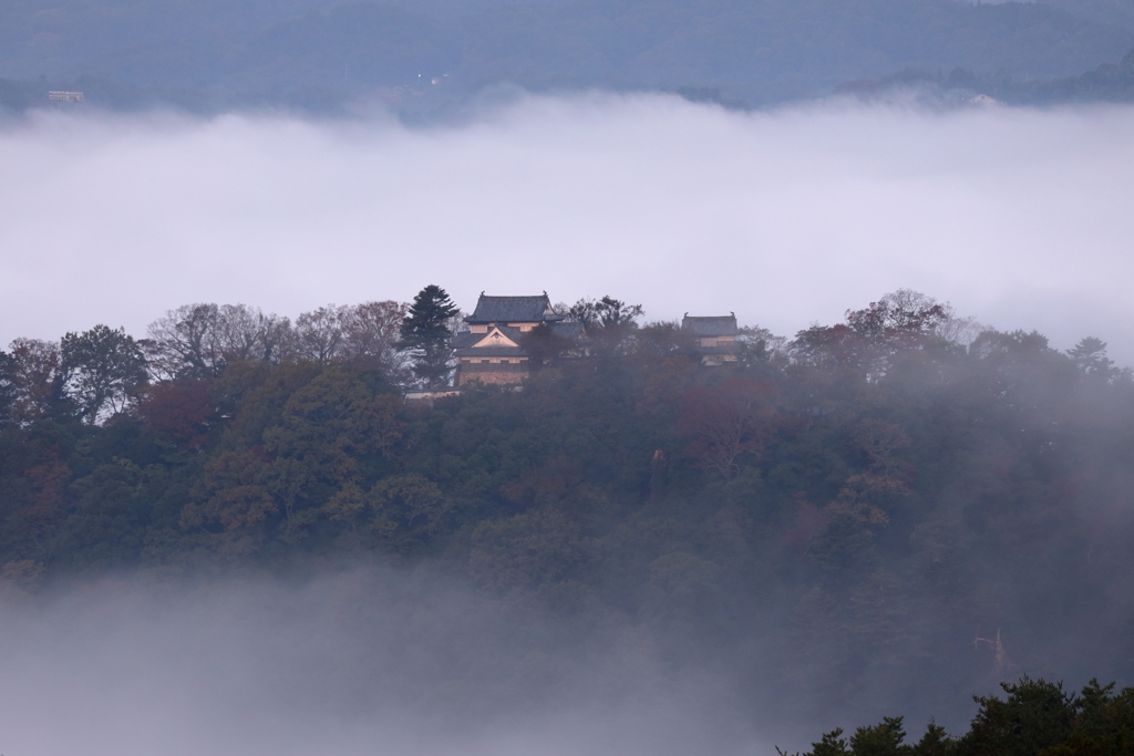 雲海シーズン到来