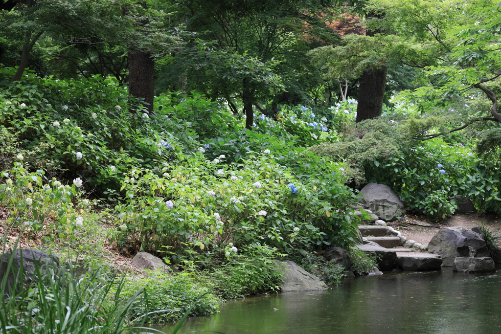長居植物園