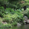 長居植物園