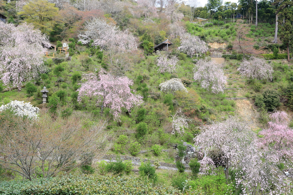 西山春山