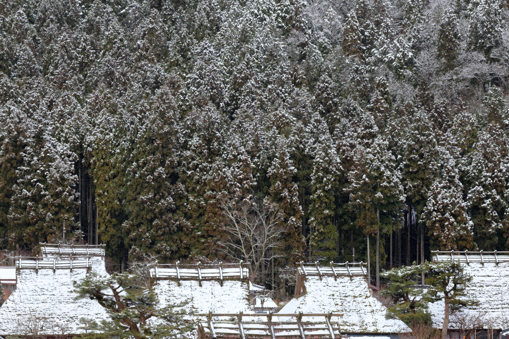 雪美山