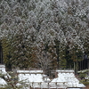 雪美山