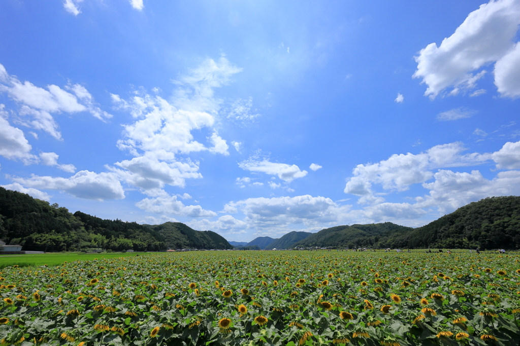 佐用