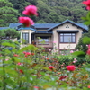 梅雨の文学館