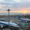 朝活