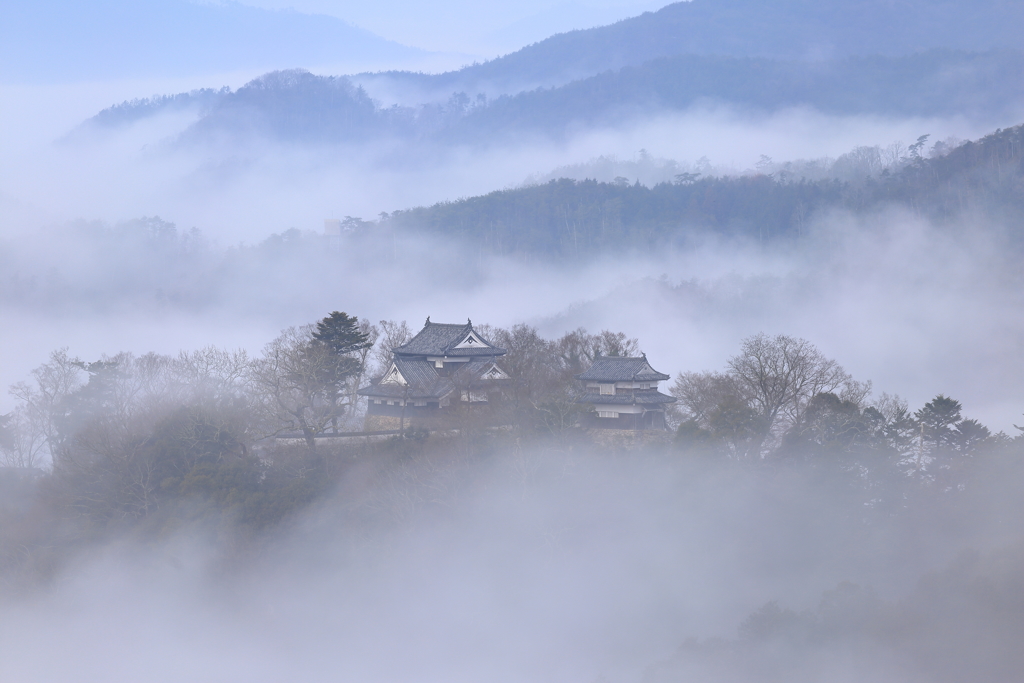 浮かぶ古城