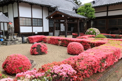 つつじ寺