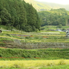 里山の朝