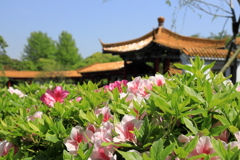 中花庭園
