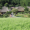 白世界