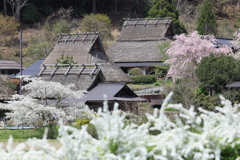 春美山