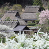 春美山