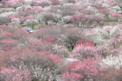 いなべ絶景