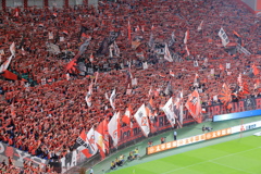 We are ...